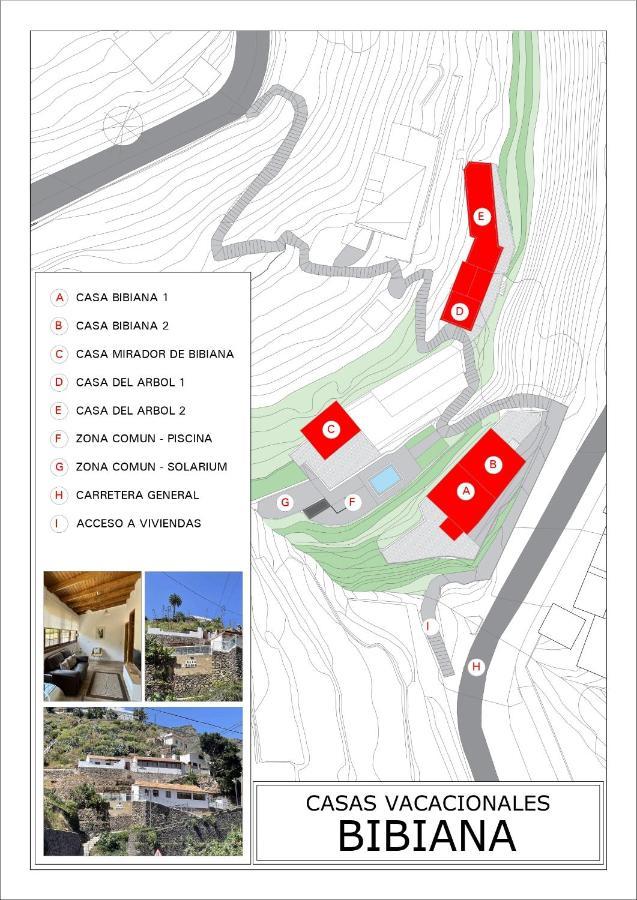 Casa Del Arbol De Bibiana 1 Villa Hermigua Kültér fotó
